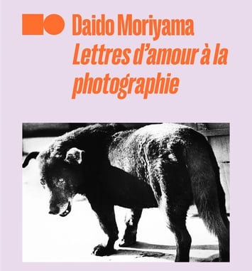 Daido Moriyama, Lettres d'amour à la photographie