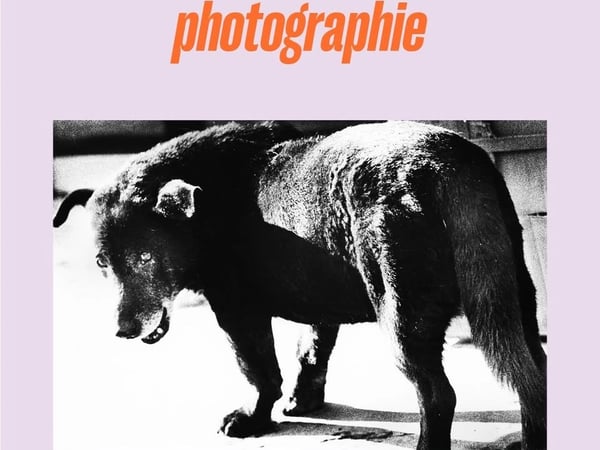 Daido Moriyama, Lettres d'amour à la photographie