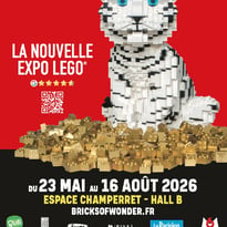 Bricks of Wonder et au cœur des Bricks