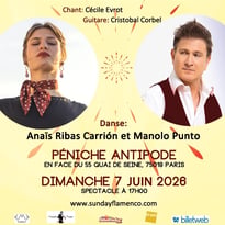 Sunday Flamenco, Le Cycle de Flamenco sur Paris