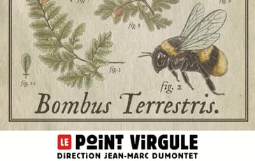 Rémi Boyes