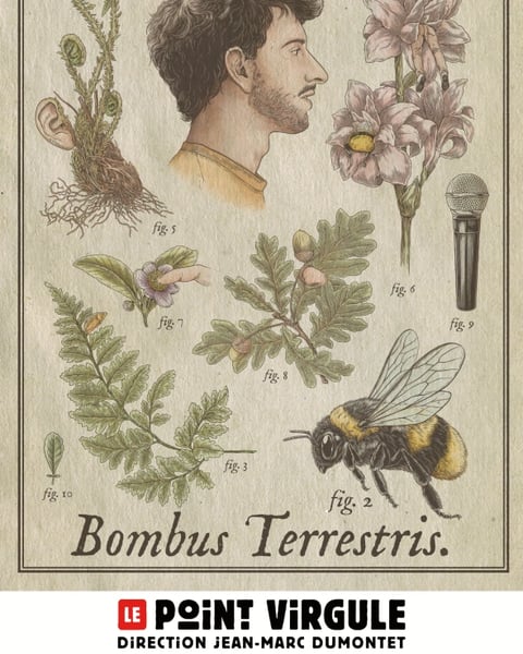 Rémi Boyes