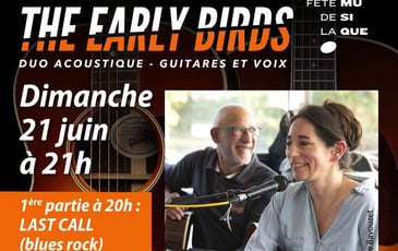 The Early Birds, Rock blues folk acoustique