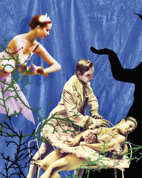 Princesse Aurore, Belle au bois dormant