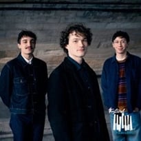 Levi Harvey Trio, nouvel album Bloom