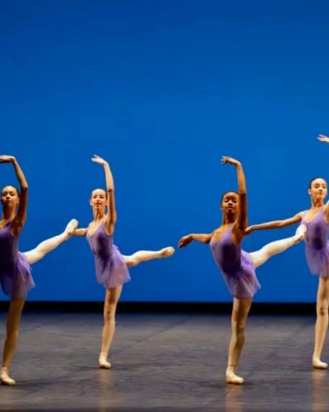 Démonstrations de l'École de Danse