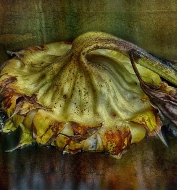 Remembering Autochromes : John Claridge