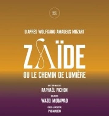 Zaïde ou le Chemin de lumière