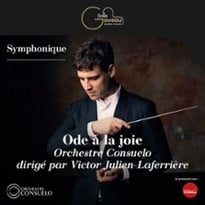 Ôde à la Joie, Symphonie n° 9 de Beethoven