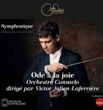Ôde à la Joie, Symphonie n° 9 de Beethoven