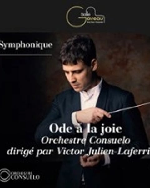 Ôde à la Joie, Symphonie n° 9 de Beethoven