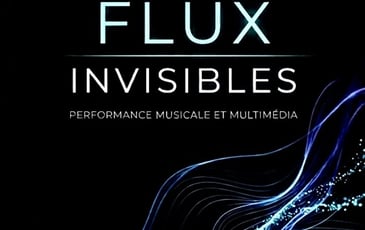 Flux Invisibles : Performance art-science et musique électronique