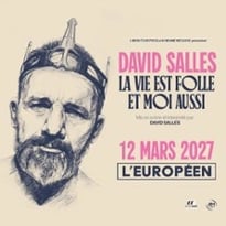 David Salles, La Vie est Folle et Moi Aussi