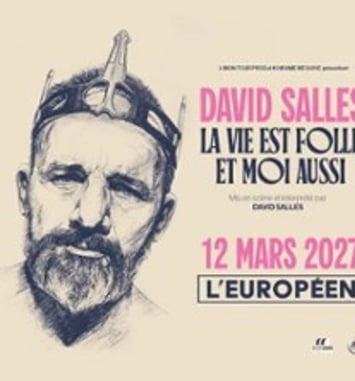 David Salles, La Vie est Folle et Moi Aussi