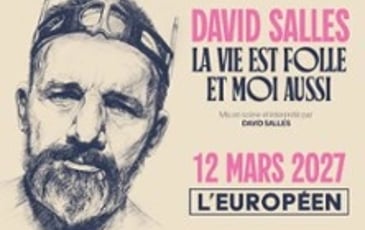 David Salles, La Vie est Folle et Moi Aussi