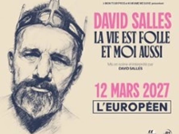 David Salles, La Vie est Folle et Moi Aussi