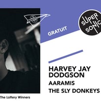 Harvey Jay Dodgson • Aaramis • The Sly Donkeys