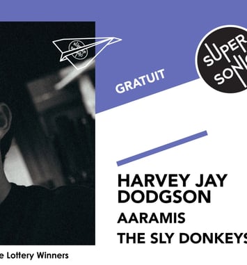 Harvey Jay Dodgson • Aaramis • The Sly Donkeys
