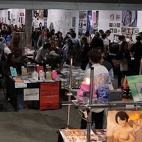 Paris Ass Book Fair
