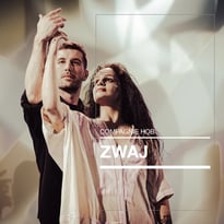 Zwaj