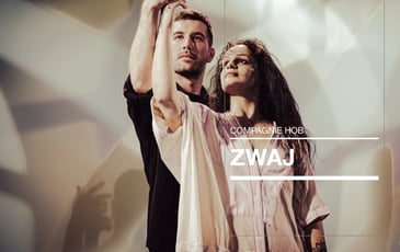 Zwaj