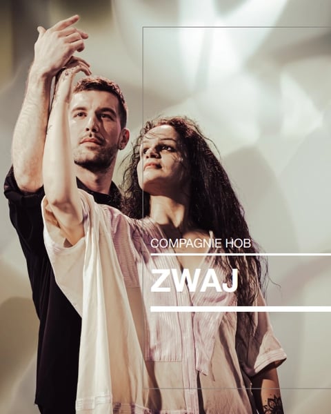 Zwaj