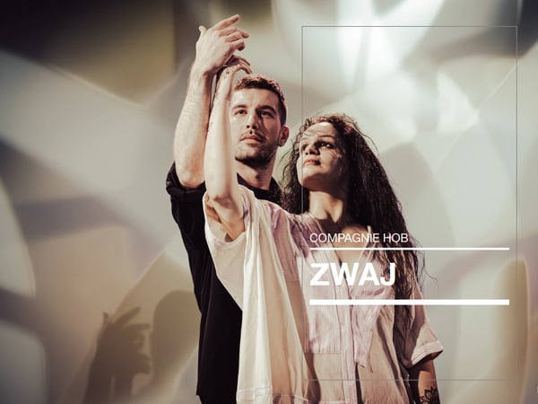 Zwaj