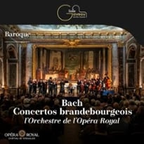 Bach, Concertos brandebourgeois