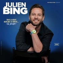 Julien Bing, Toute la vérité, rien que la vérité