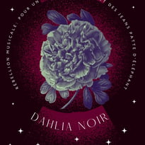 Dahlia Noir