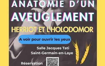 Anatomie d'un Aveuglement