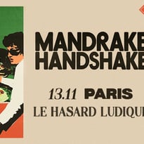 Mandrake Handshake en concert