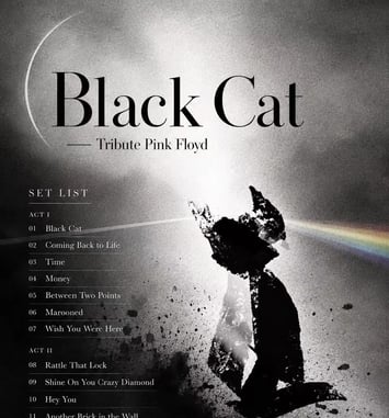 Pink Floyd tribute concert, Black Cat