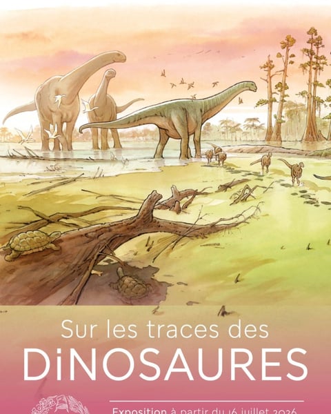 Sur les traces des dinosaures