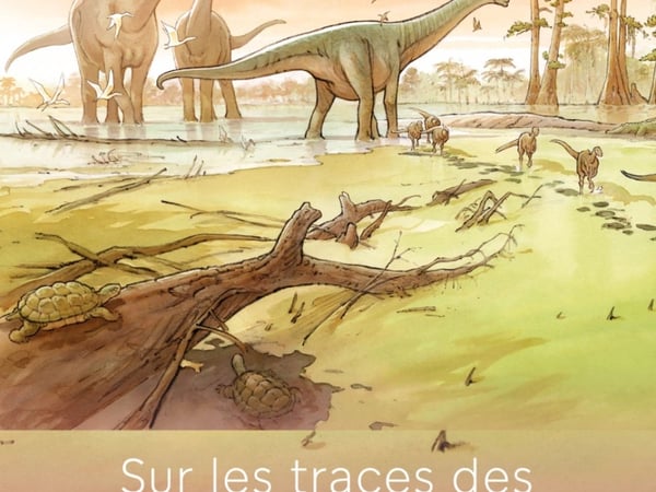 Sur les traces des dinosaures