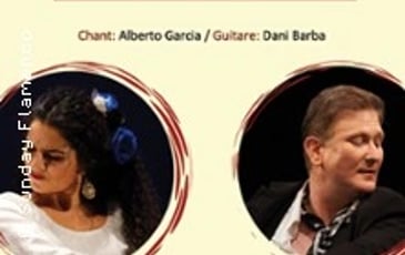 Sunday Flamenco, le cycle de flamenco
