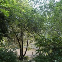 Visite libre des jardins du quadrilatère des Archives nationales