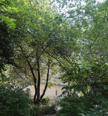 Visite libre des jardins du quadrilatère des Archives nationales