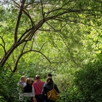 Visite guidée des cours et jardins du quadrilatère des Archives nationales