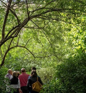Visite guidée des cours et jardins du quadrilatère des Archives nationales
