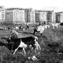 Visite de la Porte Montmartre