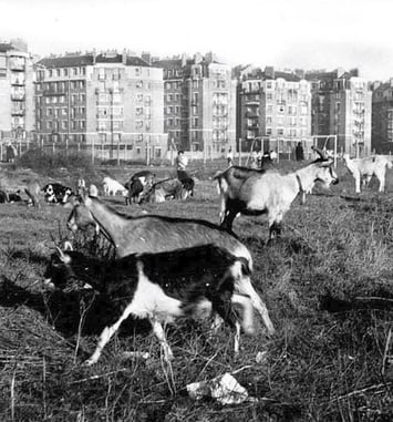 Visite de la Porte Montmartre