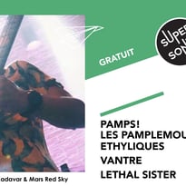 Pamps! Les Pamplemousses Éthyliques • Vantre • Lethal Sister