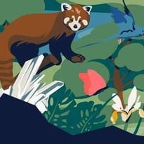L'étrange disparition de la botaniste