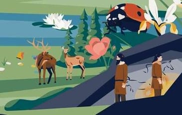 L'étrange disparition de la botaniste