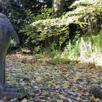 Jeu de piste numérique : "Apprentis sculpteurs et sculptrices au Jardin des Plantes"
