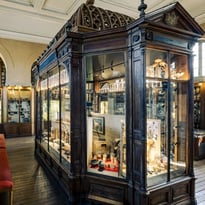 Visite guidée du Musée François Tillequin – collections de Matière médicale