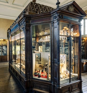 Visite guidée du Musée François Tillequin – collections de Matière médicale
