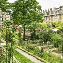 Visite guidée du jardin botanique de la Faculté de Pharmacie de Paris