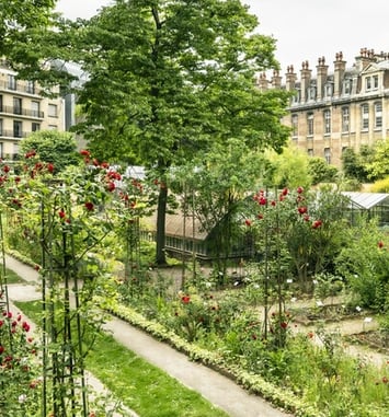 Visite guidée du jardin botanique de la Faculté de Pharmacie de Paris